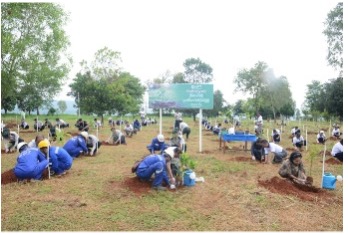 MPT plants over 3,770 seedlings across 17 regional areas through its nationwide “Let’s Move Forward for a Greener Future” programme