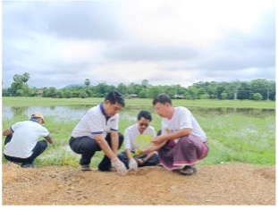 MPT plants over 3,770 seedlings across 17 regional areas through its nationwide “Let’s Move Forward for a Greener Future” programme