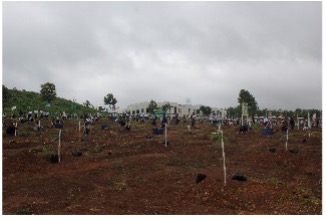 MPT plants over 3,770 seedlings across 17 regional areas through its nationwide “Let’s Move Forward for a Greener Future” programme